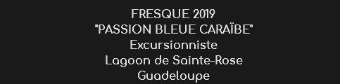 FRESQUE 2019
"PASSION BLEUE CARAÏBE" Excursionniste
Lagoon de Sainte-Rose Guadeloupe