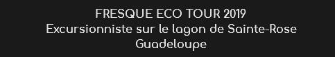 FRESQUE ECO TOUR 2019
Excursionniste sur le lagon de Sainte-Rose
Guadeloupe