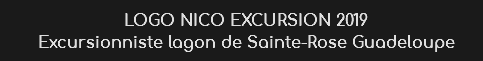 LOGO NICO EXCURSION 2019
Excursionniste lagon de Sainte-Rose Guadeloupe