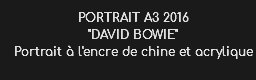 PORTRAIT A3 2016 "DAVID BOWIE" Portrait à l'encre de chine et acrylique 